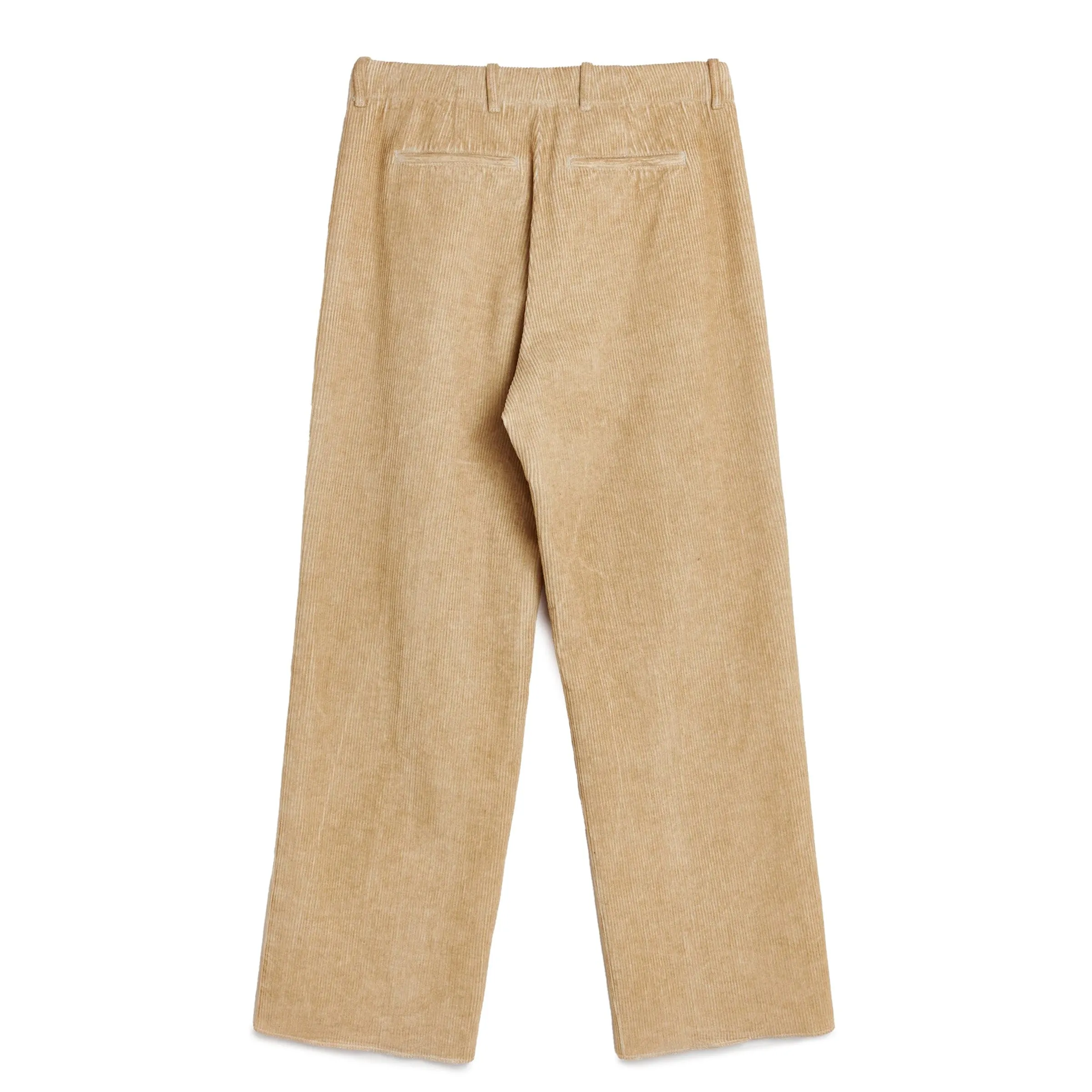 BORROWED CHINO