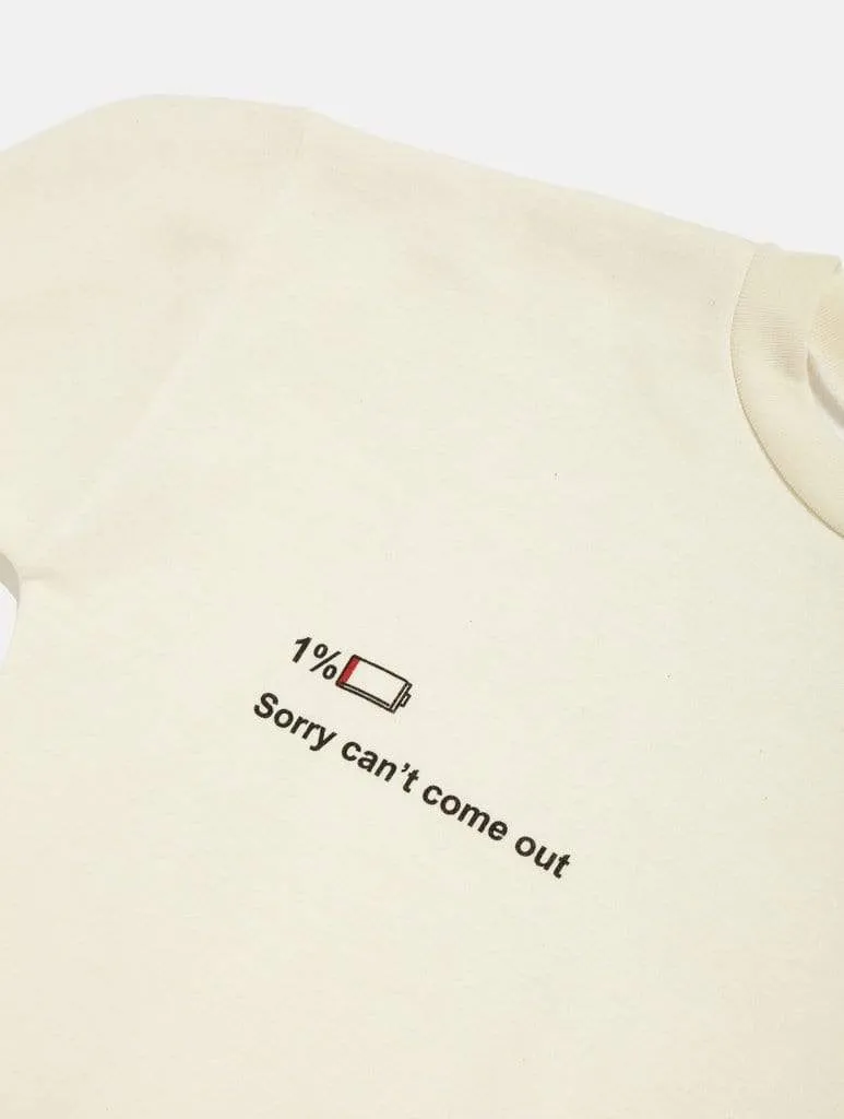 Low Battery Recycled Jumper